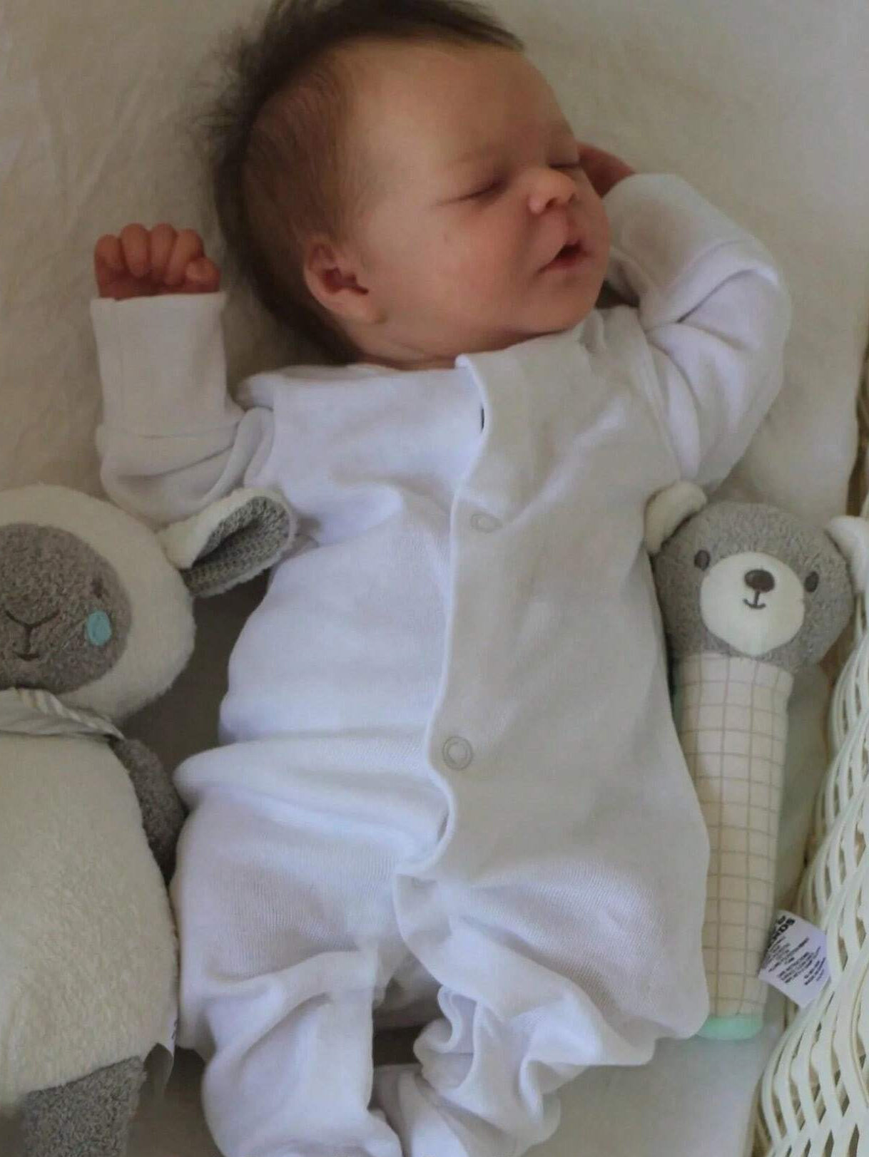 Jim Lifelike 18 Inches Reborn Dolls Boys